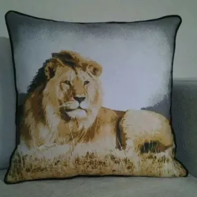 Decorative throw Pillow cushion cover