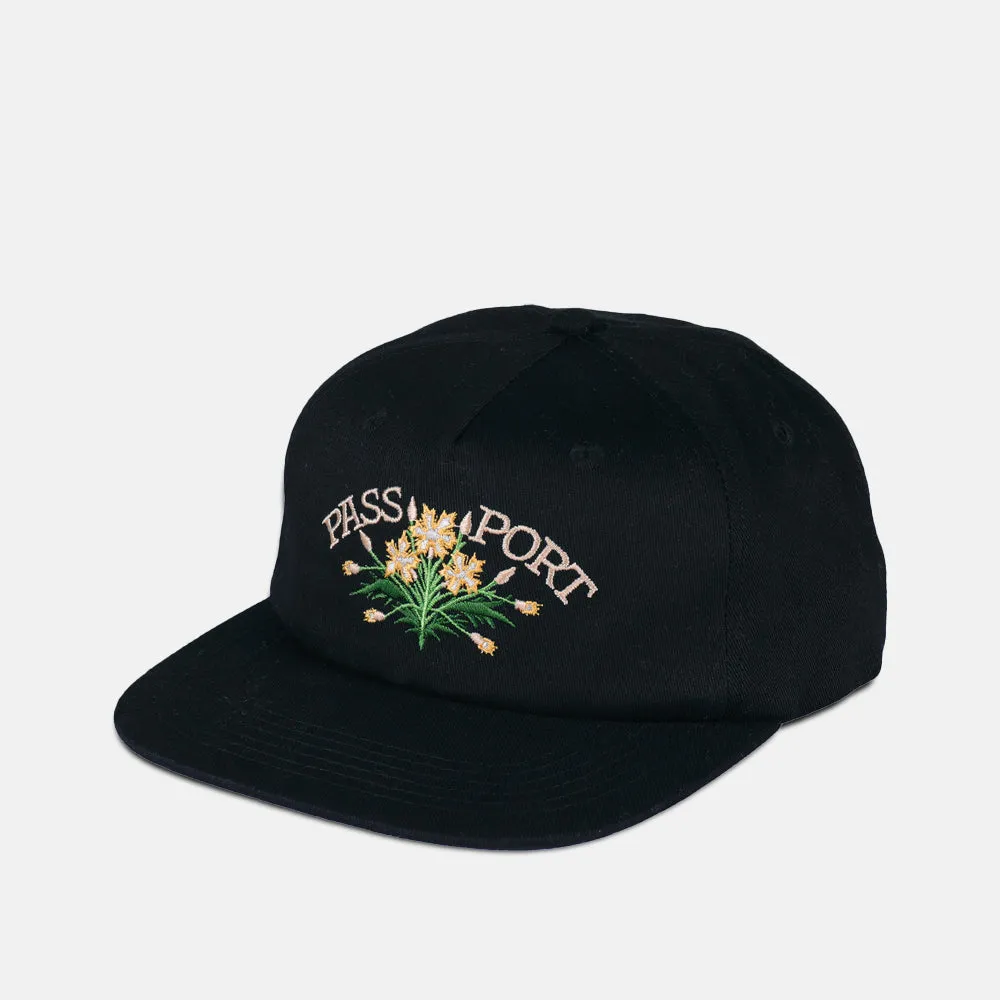 Pass Port Skateboards - Bloom Workers Cap - Black