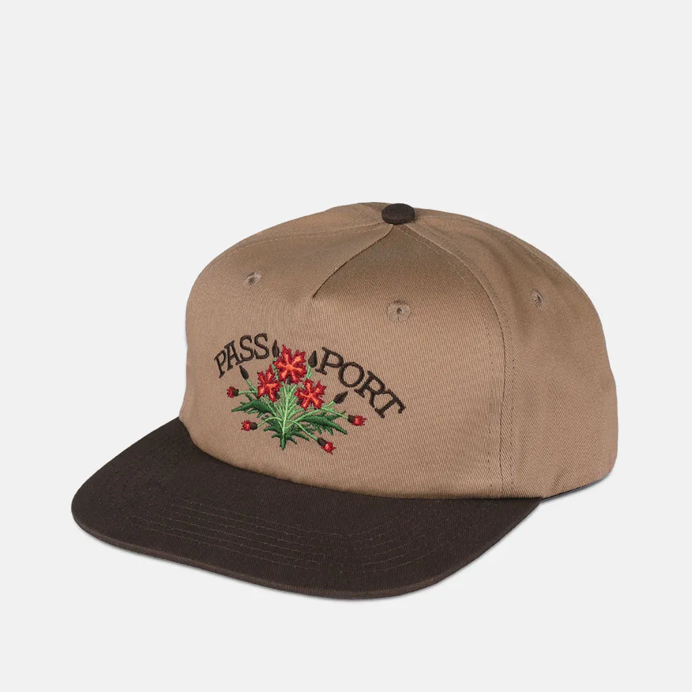 Pass Port Skateboards - Bloom Workers Cap - Chocolate / Sand